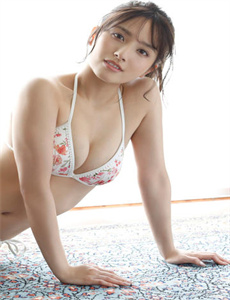 逆转检察官