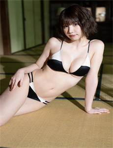 与狼共舞电视剧全集