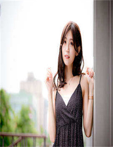 2010新年快乐365dvd