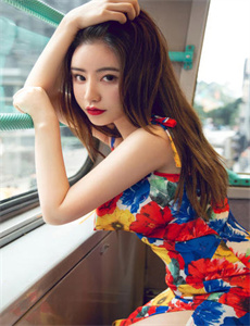 芬妮的旅程